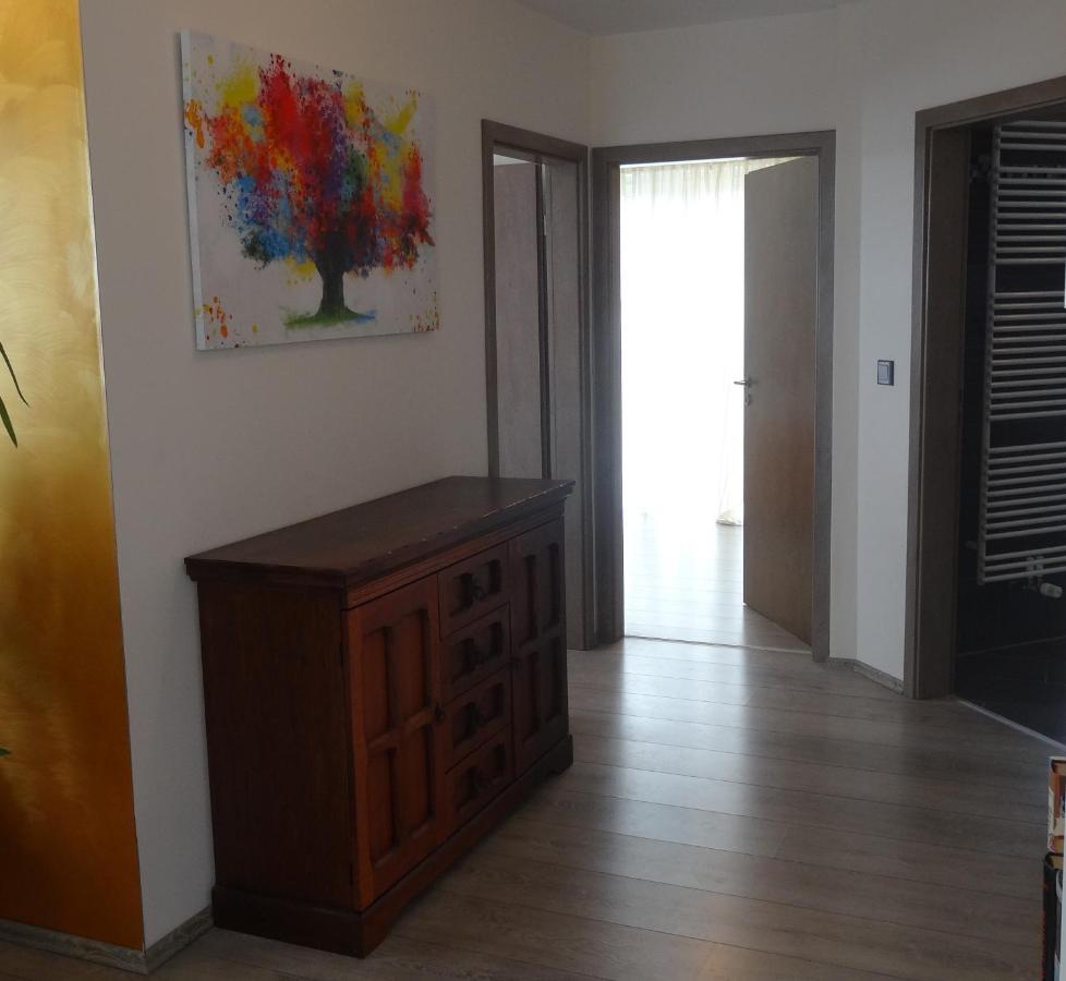 Ferienwohnung Schwarzwald-Baar Blick ドナウエッシンゲン エクステリア 写真